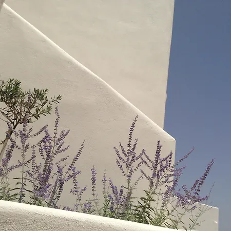 Otel Archipelagos Páros